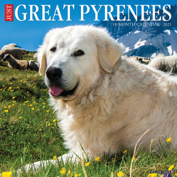 Calendar Just Great Pyrenees 2021 Wall Calendar (Dog Breed Calendar) Book