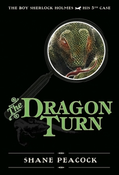 Hardcover The Dragon Turn Book