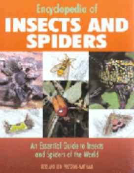 Hardcover Encyclopedia of Insects & Spiders Book