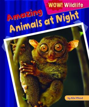 Amazing Animals at Night - Book  of the Wow! Wildlife