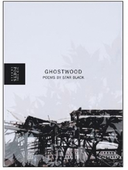 Hardcover Ghostwood Book