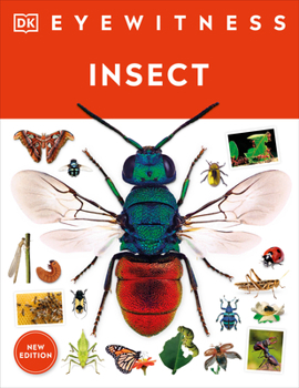 Paperback Eyewitness Insect Book