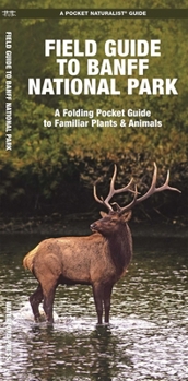 Paperback Banff National Park, Field Guide to Book