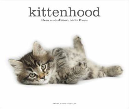 Hardcover Kittenhood: Life-Size Portraits of Kittens in Their First 12 Weeks Book
