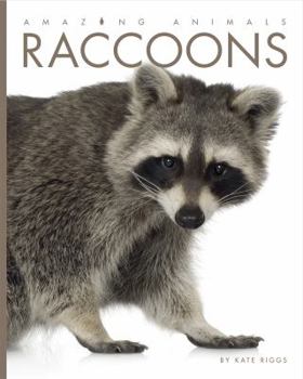 Raccoons - Book  of the Amazing Animals