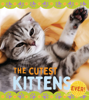 Library Binding The Cutest Kittens Book