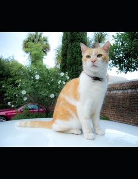 Blank sheet book for Drawing (French Edition)