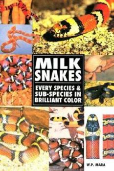 Paperback Milksnakes the Real Thing Book