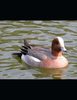 Paperback Self-Awareness Through Dreams: Dream Journal Book