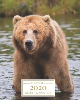 Paperback 2020: Weekly and Monthly Planner/Calendar Jan 2020 - Dec 2020 Big Grizzly Bear Book