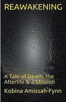 Paperback Reawakening: A Tale of Death, the Afterlife & a Mission Book