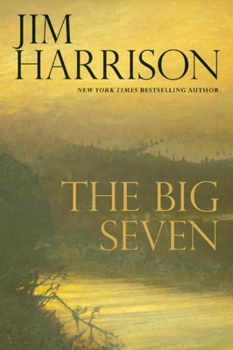 The Big Seven - Book #2 of the Detective Sunderson