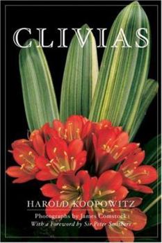 Hardcover Clivias Book