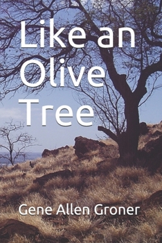 Paperback Like an Olive Tree Book