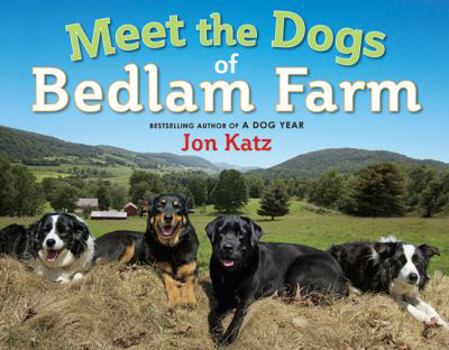 Hardcover Meet the Dogs of Bedlam Farm Book