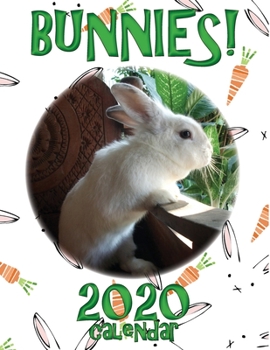 Paperback Bunnies! 2020 Calendar Book