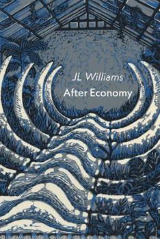 Paperback After Economy Book
