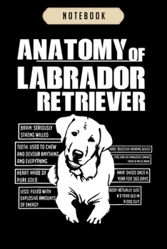 Paperback Notebook: Anatomy of a labrador retriever lab lover gift Notebook-6x9(100 pages)Blank Lined Paperback Journal For Student, gifts Book