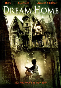 DVD Dream House Book