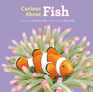 Board book Curious about Fish Book