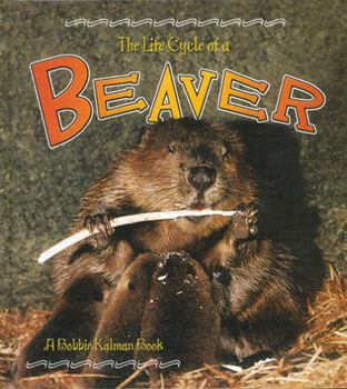 Hardcover Beaver Book