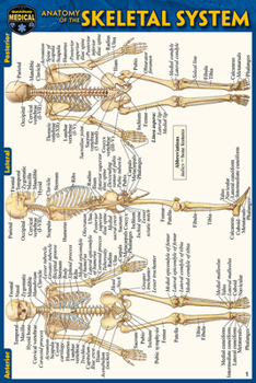 Wall Chart Anatomy of the Skeletal System (Pocket-Sized Edition - 4x6 Inches) Book