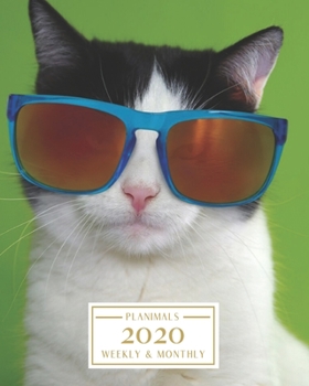 Paperback 2020: Weekly and Monthly Planner/Calendar Jan 2020 - Dec 2020 Cute Cat with Sunglasses Book