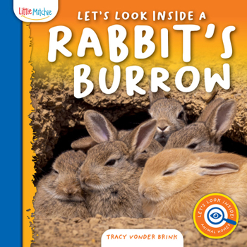 Hardcover Let's Look Inside a Rabbit's Burrow Book