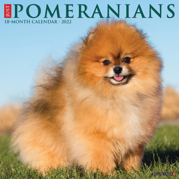 Calendar Just Pomeranians 2022 Wall Calendar (Dog Breed) Book