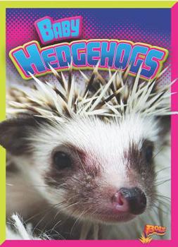 Paperback Baby Hedgehogs Book