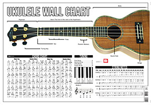 Paperback Ukulele Wall Chart Book