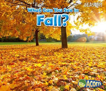 Paperback What Can You See in Fall? Book