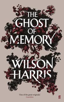 Paperback The Ghost of Memory Book
