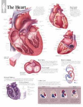 Misc. The Heart Chart: Wall Chart Book