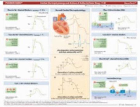 Loose Leaf MemoCharts Pharmacology: Drug therapy for cardiac arrhythmias (Review chart) (Paperback) Book