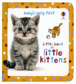 Board book Baby's Very First Little Book of Kittens Book