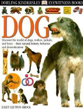 DK Eyewitness Books: Dog
