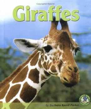 Library Binding Giraffes Book