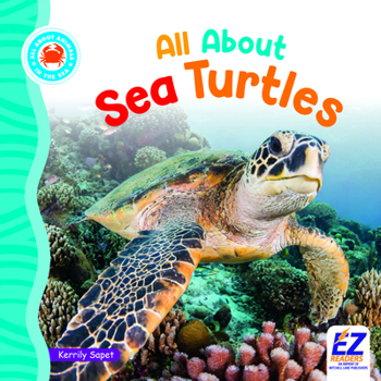 All about Sea Turtles (All about Animals: In the Sea)