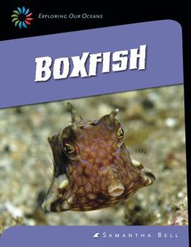 Paperback Boxfish Book
