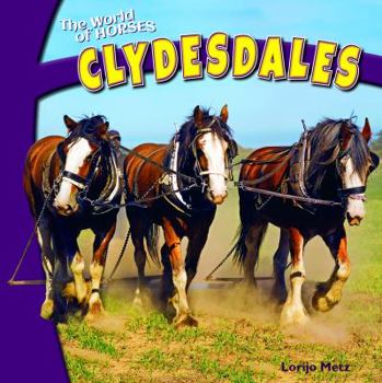 Library Binding Clydesdales Book