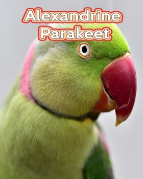 Paperback Alexandrine Parakeet: Facts Book (Fun Facts Book For Kids) [Large Print] Book