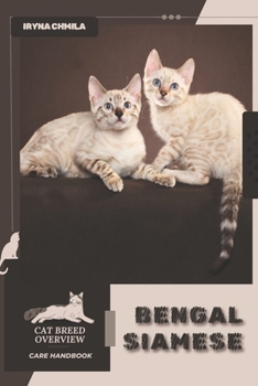 Bengal Siamese: Cat breed overview, care handbook
