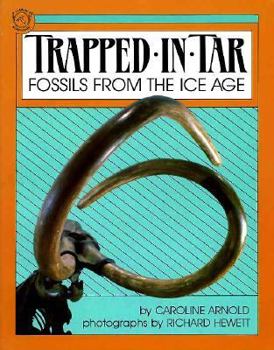 Paperback Trapped in Tar: Fossils from the Ice Age Book
