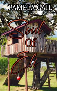 Paperback Soul of Eli Book