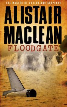 Paperback Floodgate Book
