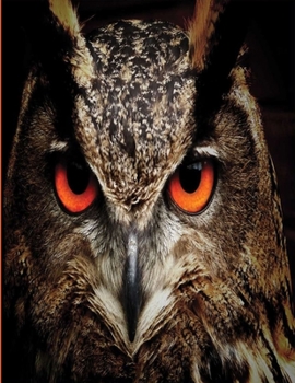 Hoot Hoot Hooray: Owl Journal | Owl Notebook book | Owl gifts for women men boy girl kids gift | hoot owl gifts for kids, birthday party graduation ... Owls OK Yep 8.5x11 Lined notebooks, 120 pages