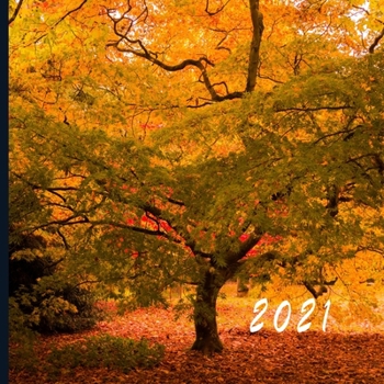 2021: Monthly Photo Calendar - January 2021 - December 2021 - Monthly Calendar with U.S./UK/ Canadian/Christian/Jewish/Muslim Holidays - Nature Forest Calendar