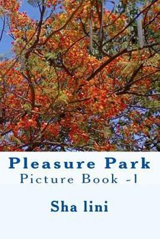 Paperback Pleasure Park: Picture Book -1 Book