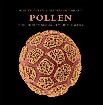 Hardcover Pollen: The Hidden Sexuality of Flowers Book